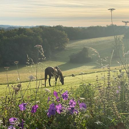 Domaine De Cazal - Gite 2 Pers Avec Piscine Au Coeur De 26 Hectares De Nature Preservee Villa Saint-Cyprien  Buitenkant foto