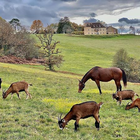 Domaine De Cazal - Gite 2 Pers Avec Piscine Au Coeur De 26 Hectares De Nature Preservee Villa Saint-Cyprien  Buitenkant foto