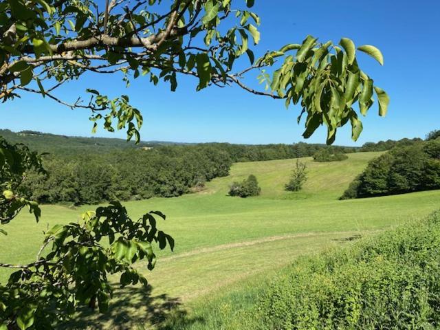 Domaine De Cazal - Gite 2 Pers Avec Piscine Au Coeur De 26 Hectares De Nature Preservee Villa Saint-Cyprien  Buitenkant foto