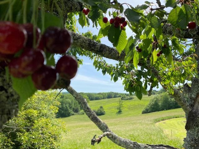 Domaine De Cazal - Gite 2 Pers Avec Piscine Au Coeur De 26 Hectares De Nature Preservee Villa Saint-Cyprien  Buitenkant foto