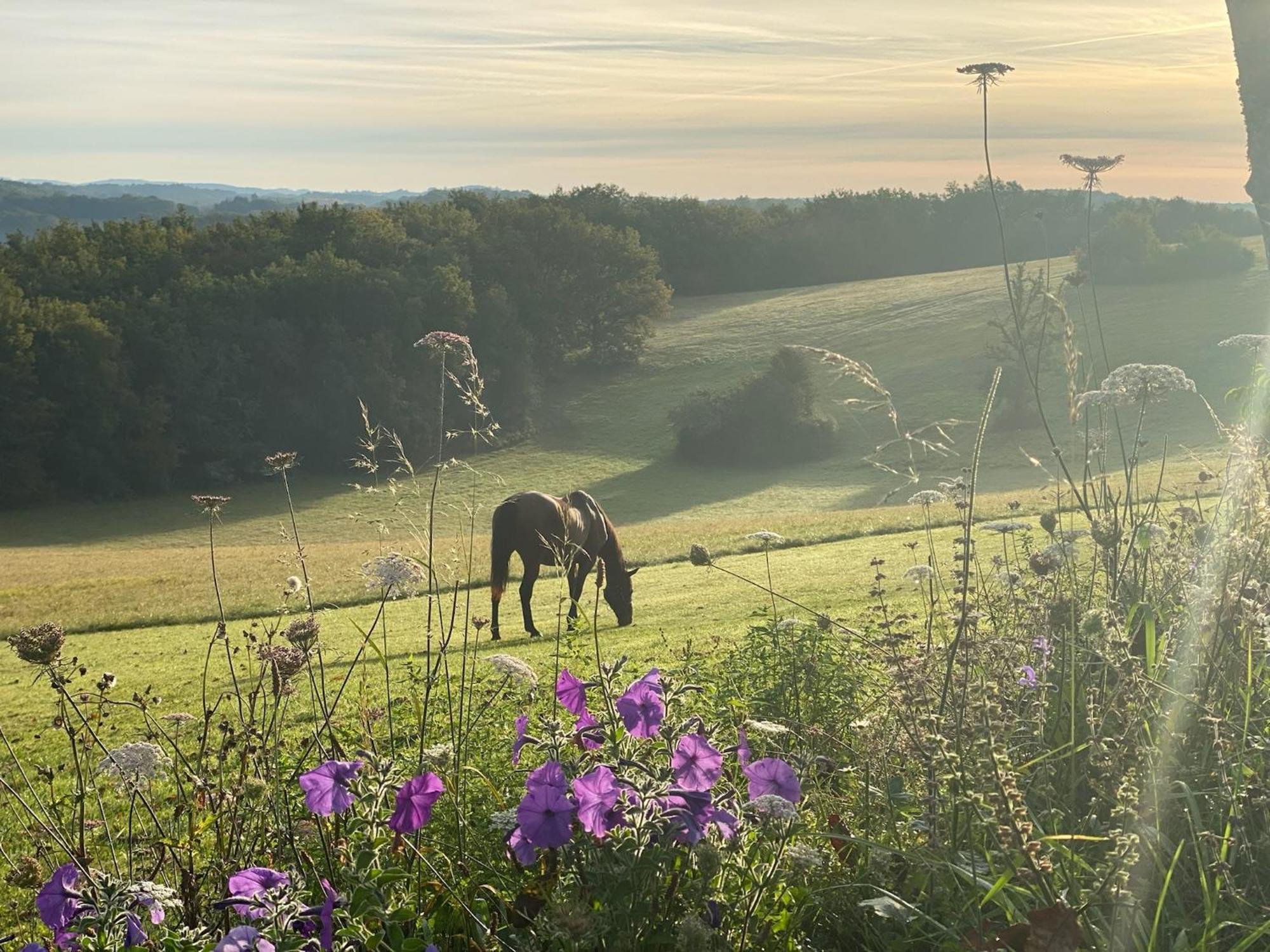 Domaine De Cazal - Gite 2 Pers Avec Piscine Au Coeur De 26 Hectares De Nature Preservee Villa Saint-Cyprien  Buitenkant foto